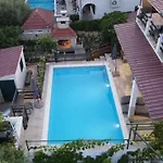 Deni Vikendica *
